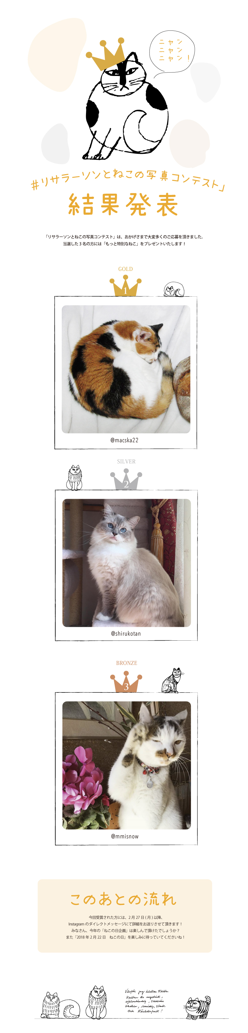 catcontest.jpg