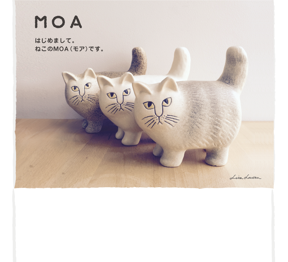 MOA（モア） リサ・ラーソンの一番新しい猫
